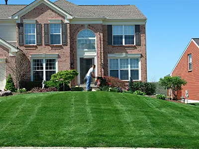Landscaping Services, Sparks, NV